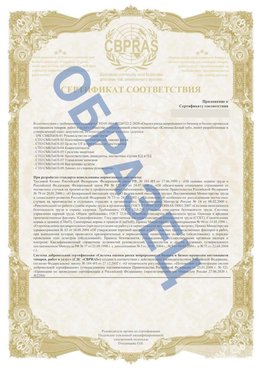 Образец Приложение к СТО 01.064.00220722.2-2020 Елабуга Сертификат СТО 01.064.00220722.2-2020 